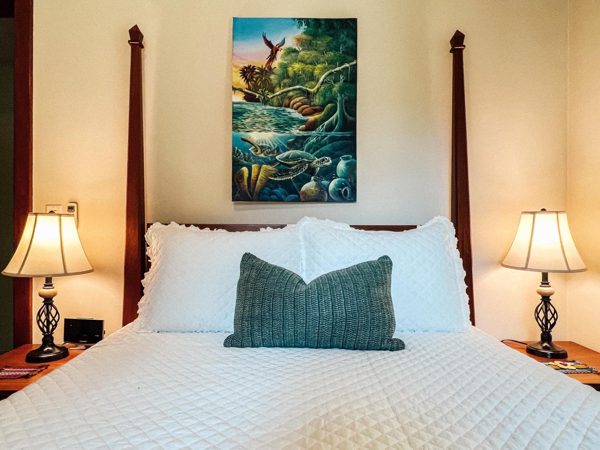The Villas At Cocoplum Placencia Rom bilde